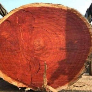 Padauk Round Logs